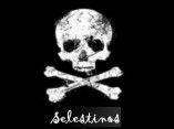 Banda Selestinos