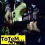 ToTem And BaRRy'S