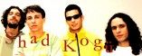 Shad Kogü (SdK)