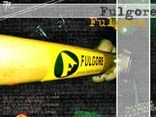 Fulgore