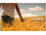 Sprandel