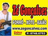 Zé gonçalvez, o poeta da filosofia