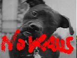 NoKaus