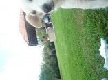 Dimy&Denis