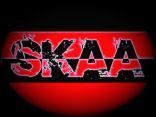 Skaa
