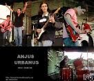 ANJUS URBANUS