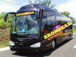 Banda Bronzear