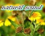 natural sound