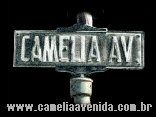 Camélia Avenida