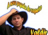VALDIR O AMANTE DO NORDESTE
