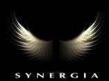 Banda Synergia