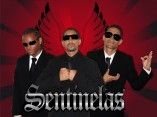 Sentinelas