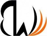 Blog do Wallace