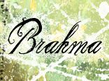 Brahma