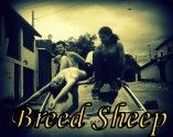 Breed Sheep