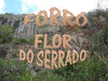 Forró Flor Do Serrado