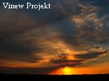 Vinew Projekt