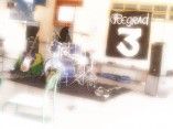 Regrad'3