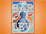 Bar Lev