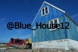 @Blue_House12