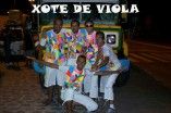 Xote de Viola