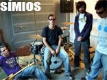 Símios