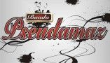 PSEUDAMAZ