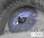 Becco