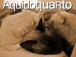 Aquido Quarto