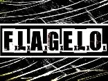 F.L.A.G.E.L.O.