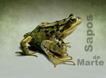 Sapos de Marte