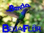 BANDA BEIJA-FL�R